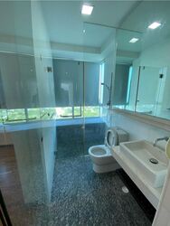 The Riverine By The Park (D12), Apartment #518658571